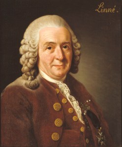 carl-linnaeus